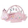 Voir la diapositive 1 : MILLY MALLY Tapis d'éveil TinyMini Dino Rose