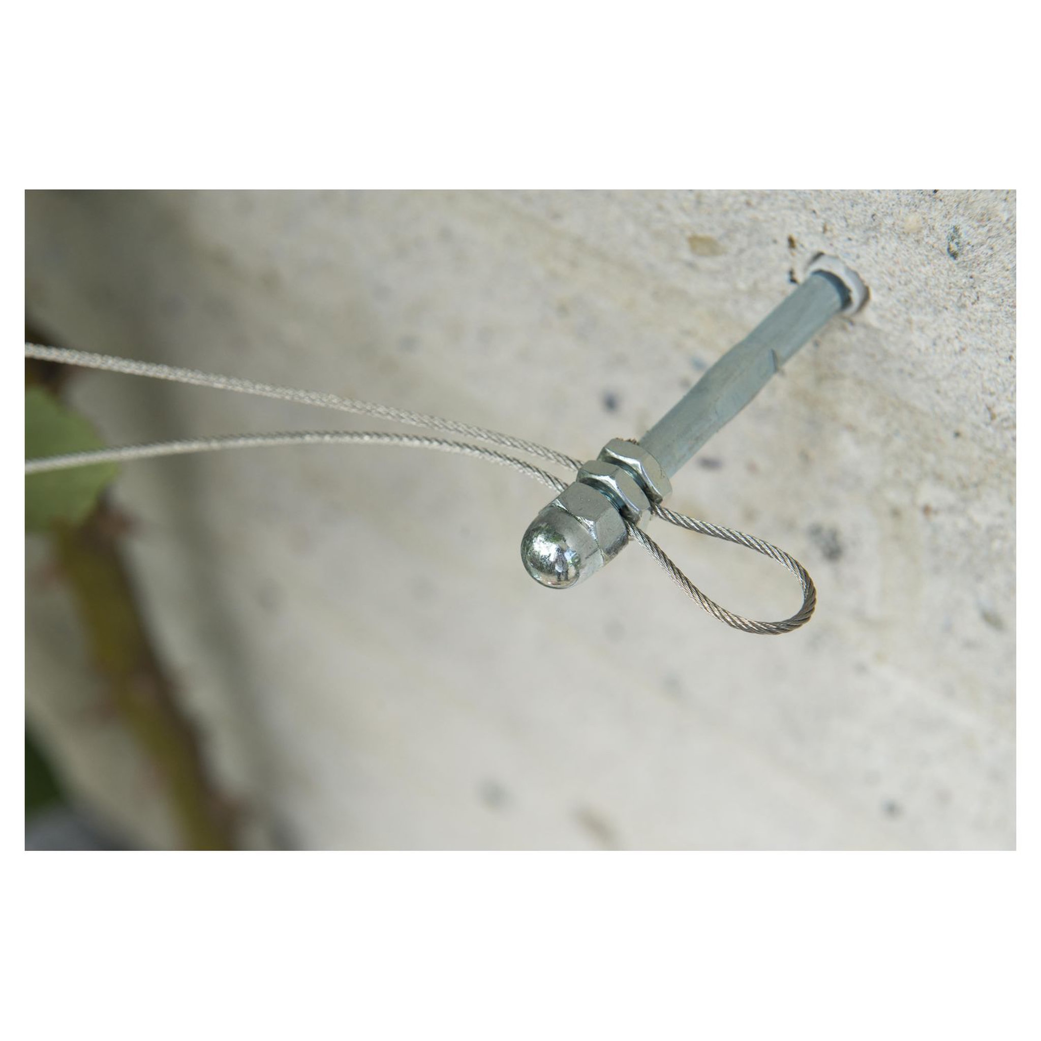 Voir la diapositive 6 : NATURE Kit de palissage - Cable fil de fer galvanisé pour treillis