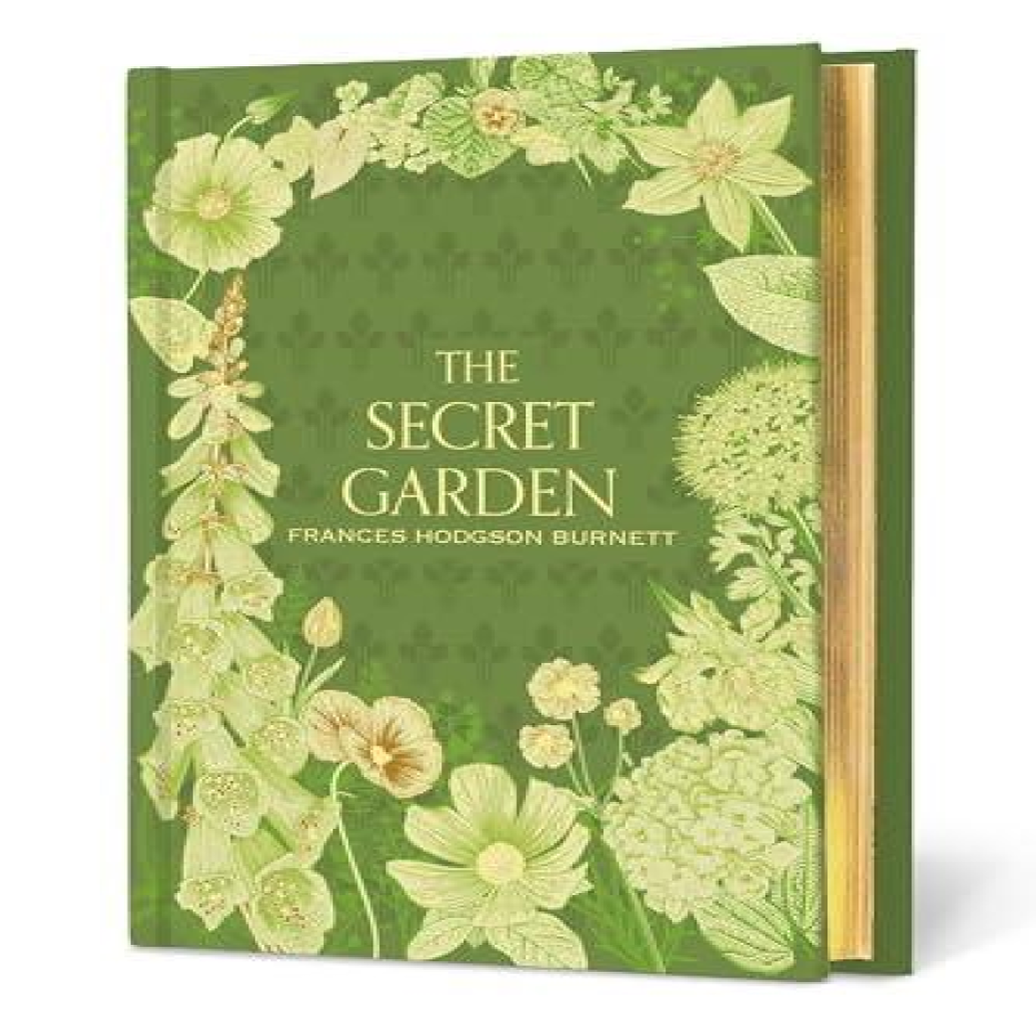 LIVRES The Secret Garden - Frances Burnett
