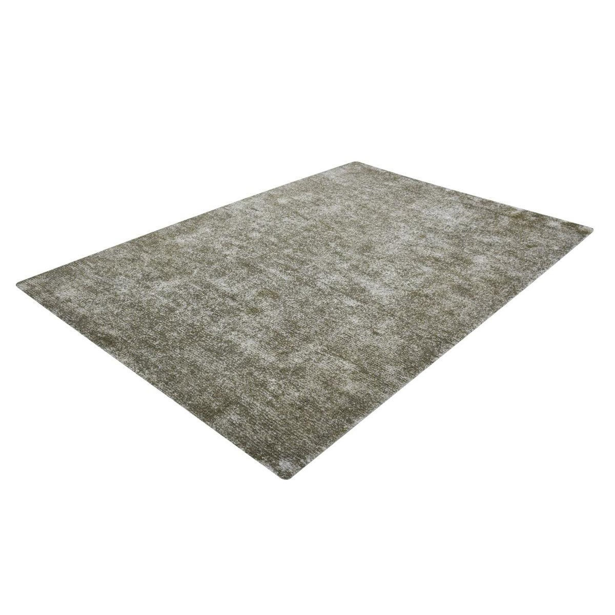 Paris Prix Tapis Vintage Tissé à la Main  Etna  Argent & Vert