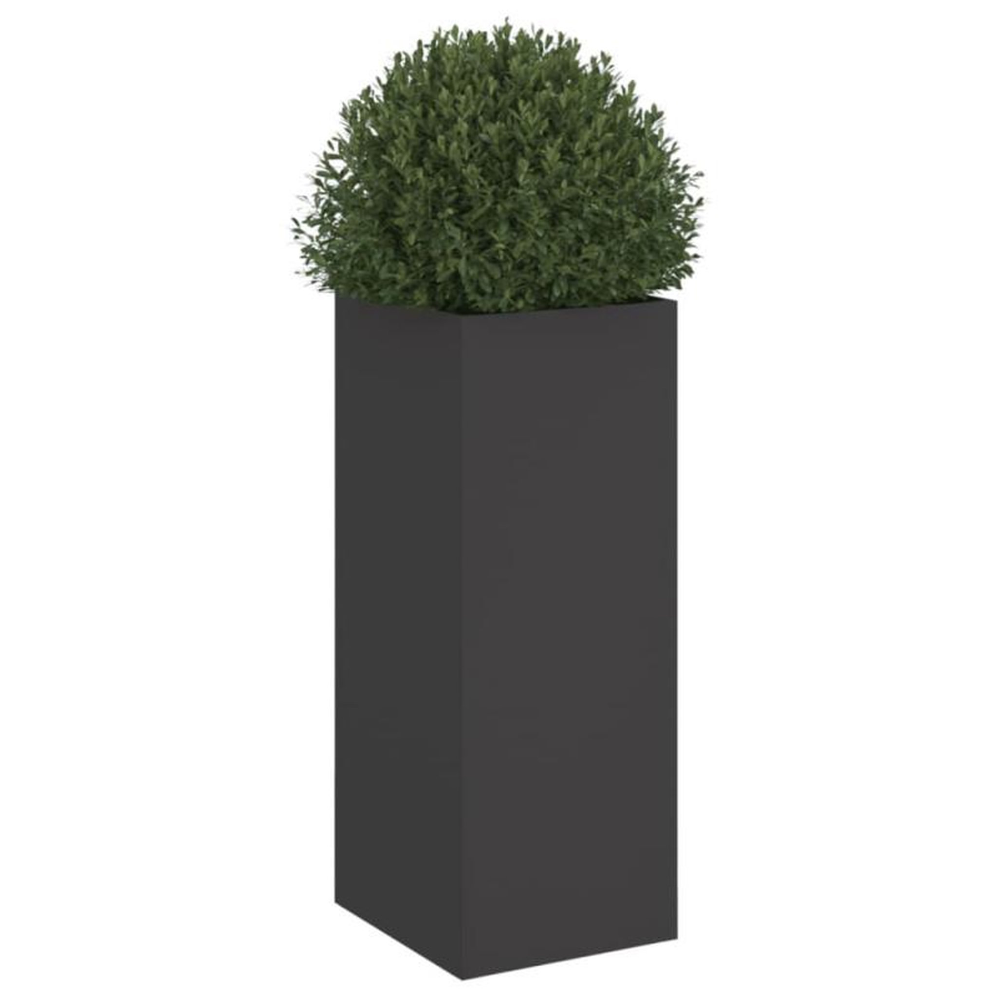 Voir la diapositive 4 : VIDAXL Jardinière noir 32x29x75 cm acier