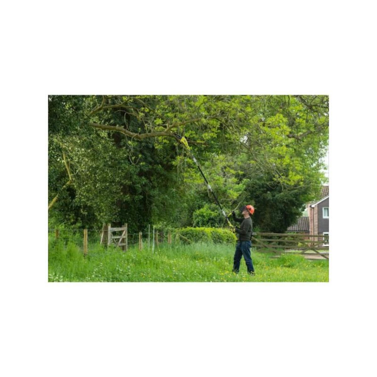 Ryobi Elagueur sur perche RYOBI 36V Max Power - Sans batterie ni chargeur - RY36PP25A-0