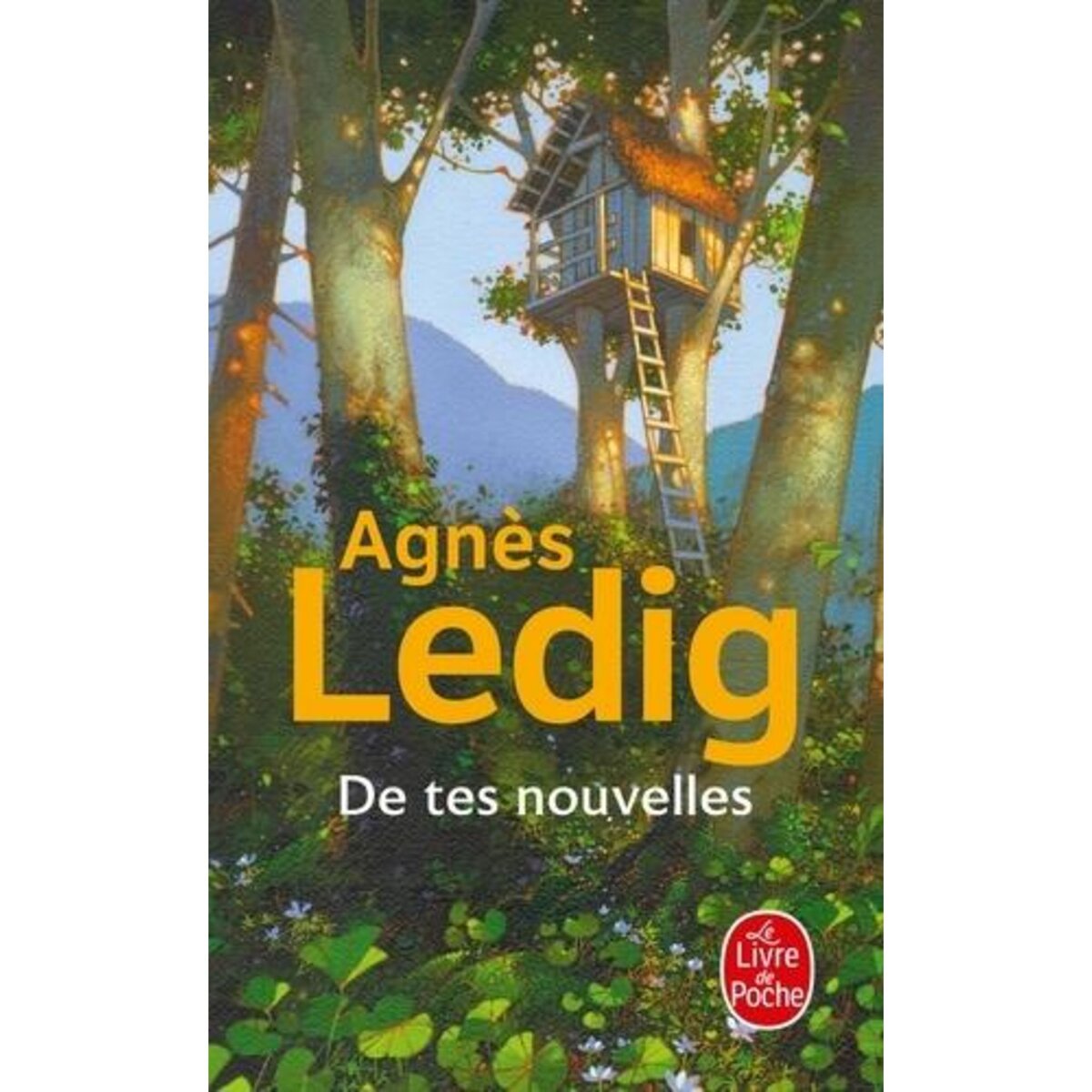 DE TES NOUVELLES, Ledig Agnès
