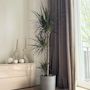 Voir la diapositive 4 : PLANT IN A BOX Dragonnier - Dracaena marginata - Hauteur 110-130cm - ⌀24cm