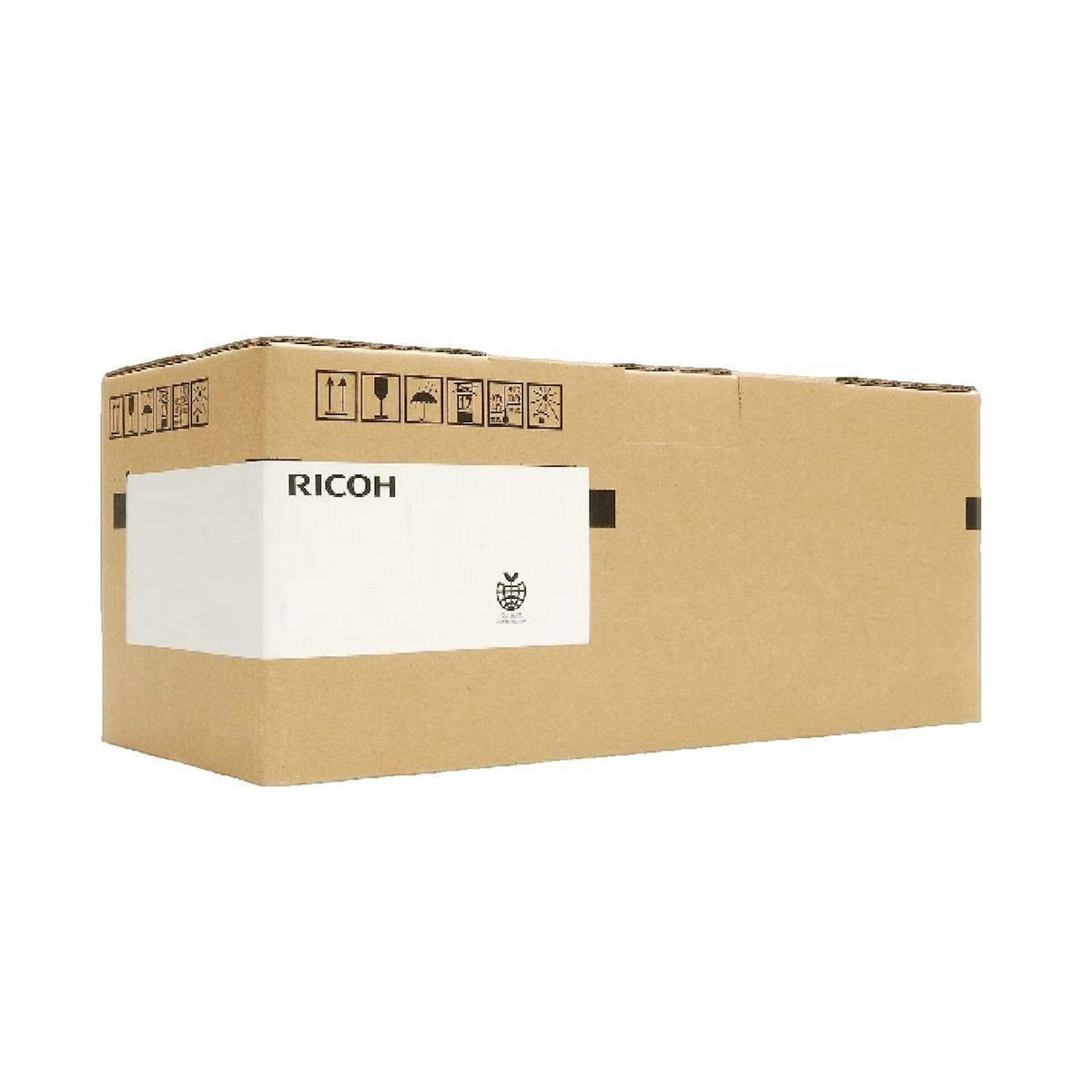 Ricoh Module de développement Ricoh D1979641 noir