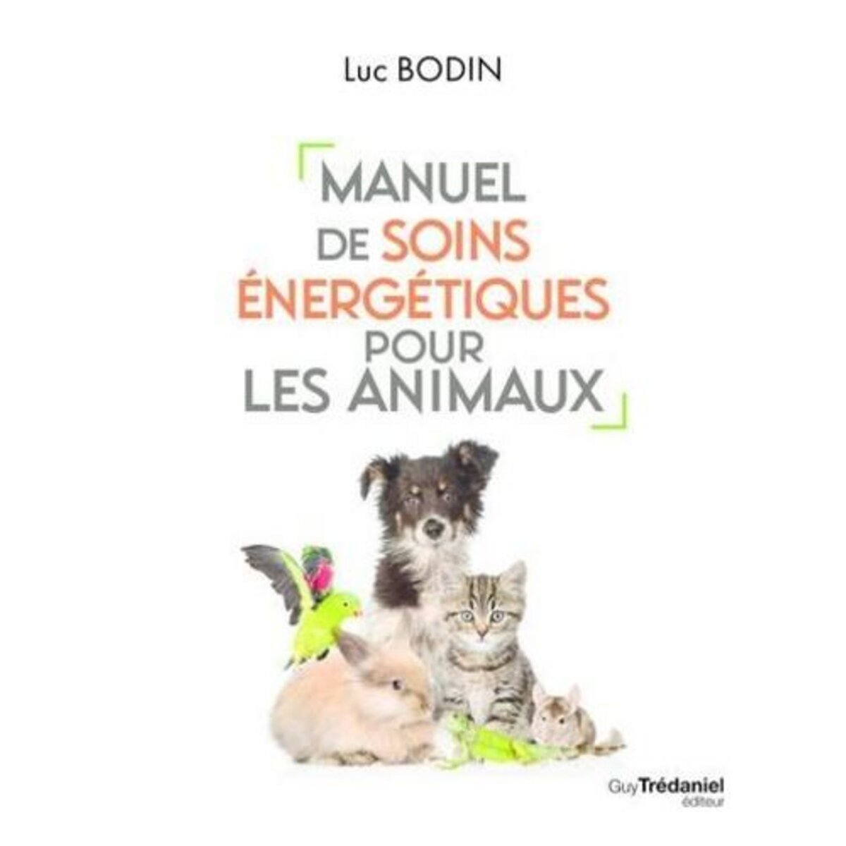 SOINS ENERGETIQUES POUR LES ANIMAUX, Bodin Luc