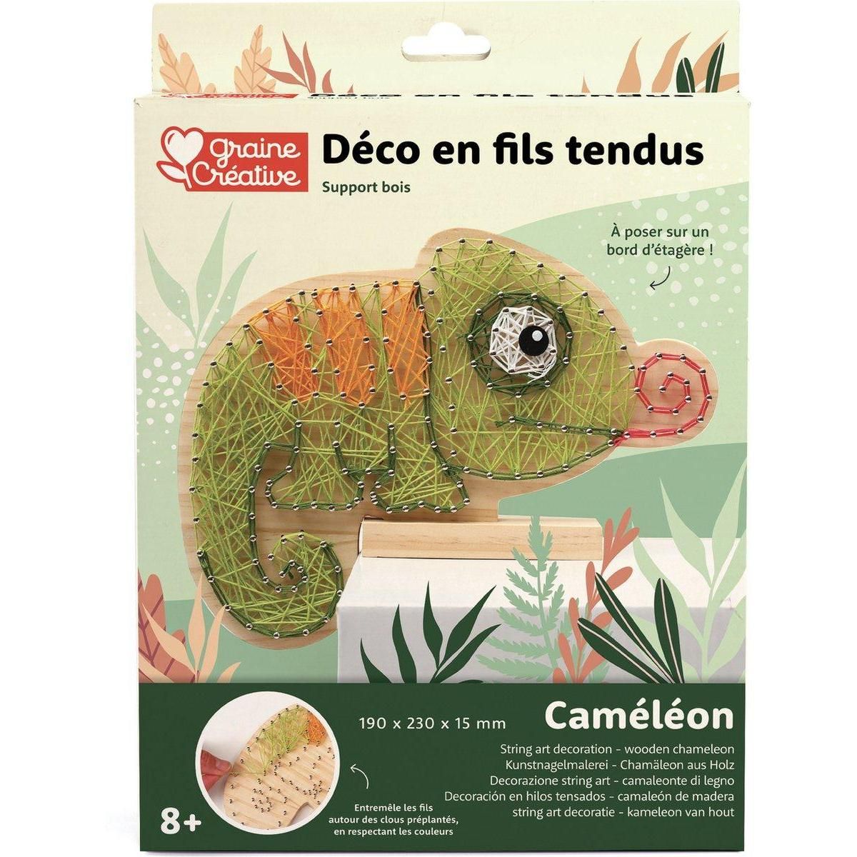 Graine créative Deco en fils tendus Cameleon