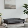 Voir la diapositive 1 : VIDAXL Lit pour chien gris fonce 100x50x21 cm velours