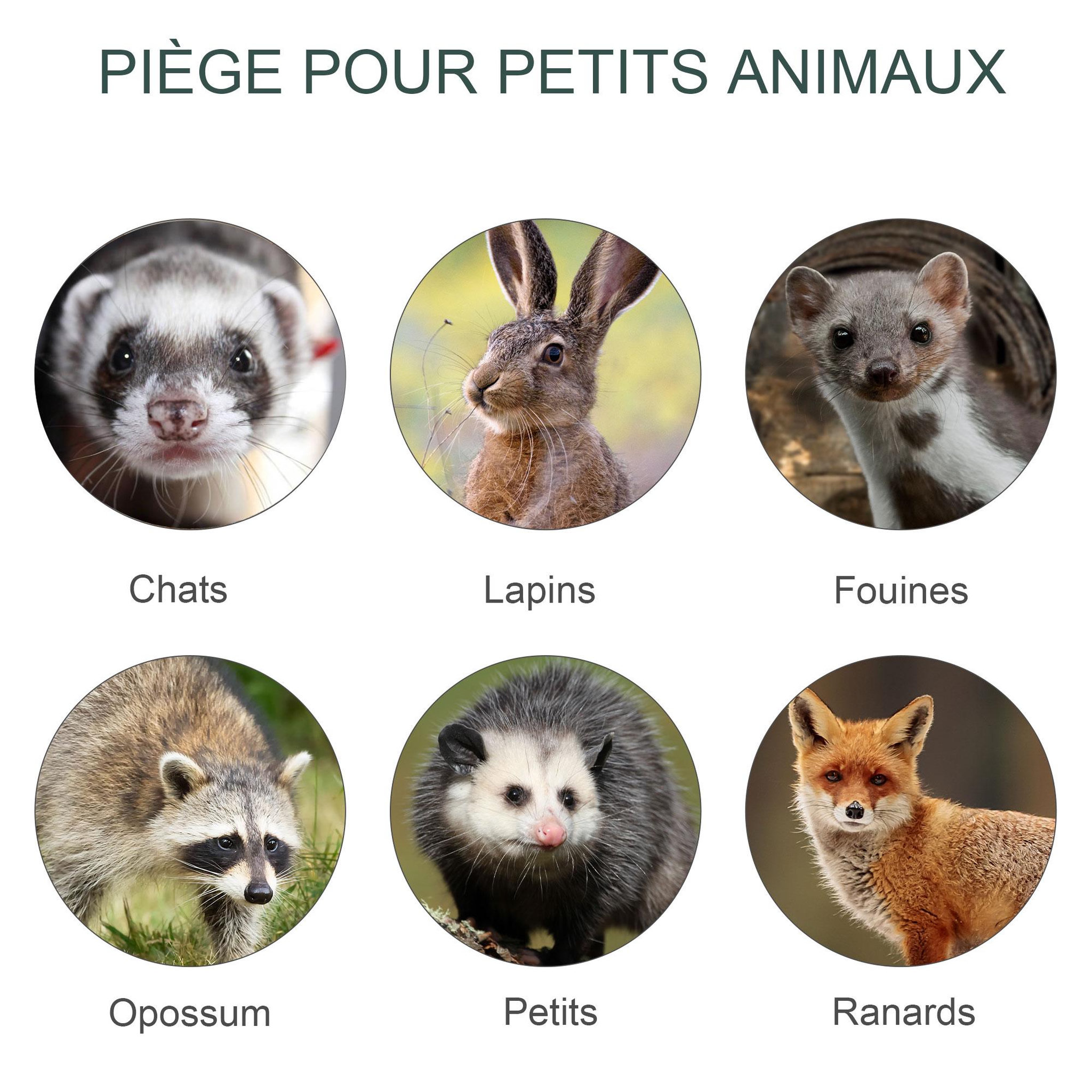 Voir la diapositive 4 : OUTSUNNY Piège de capture pour petits animaux type lapin rat - 2 entrées + poignée - dim. 80L x 25l x 30H cm - métal vert