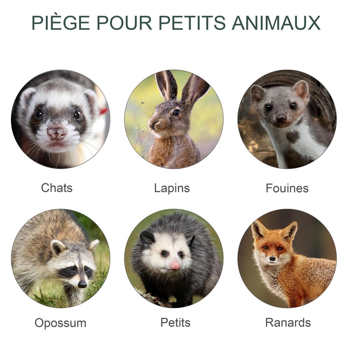 OUTSUNNY Piège de capture pour petits animaux type lapin rat - 2 entrées + poignée - dim. 80L x 25l x 30H cm - métal vert