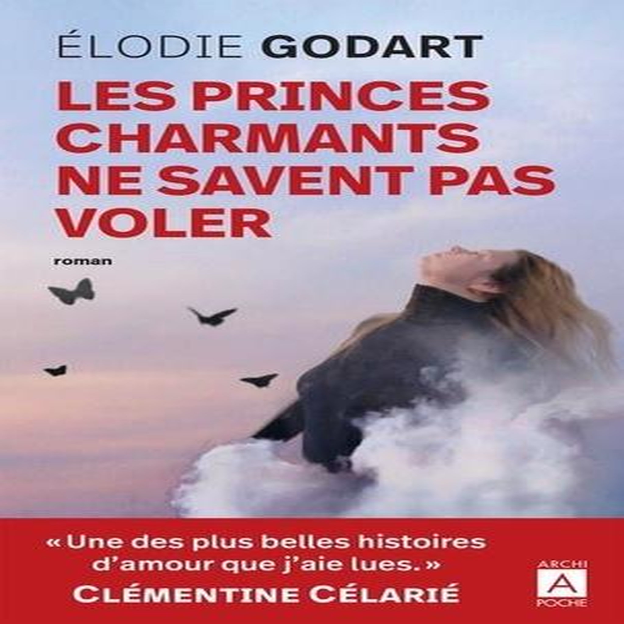 LES PRINCES CHARMANTS NE SAVENT PAS VOLER, Godart Elodie