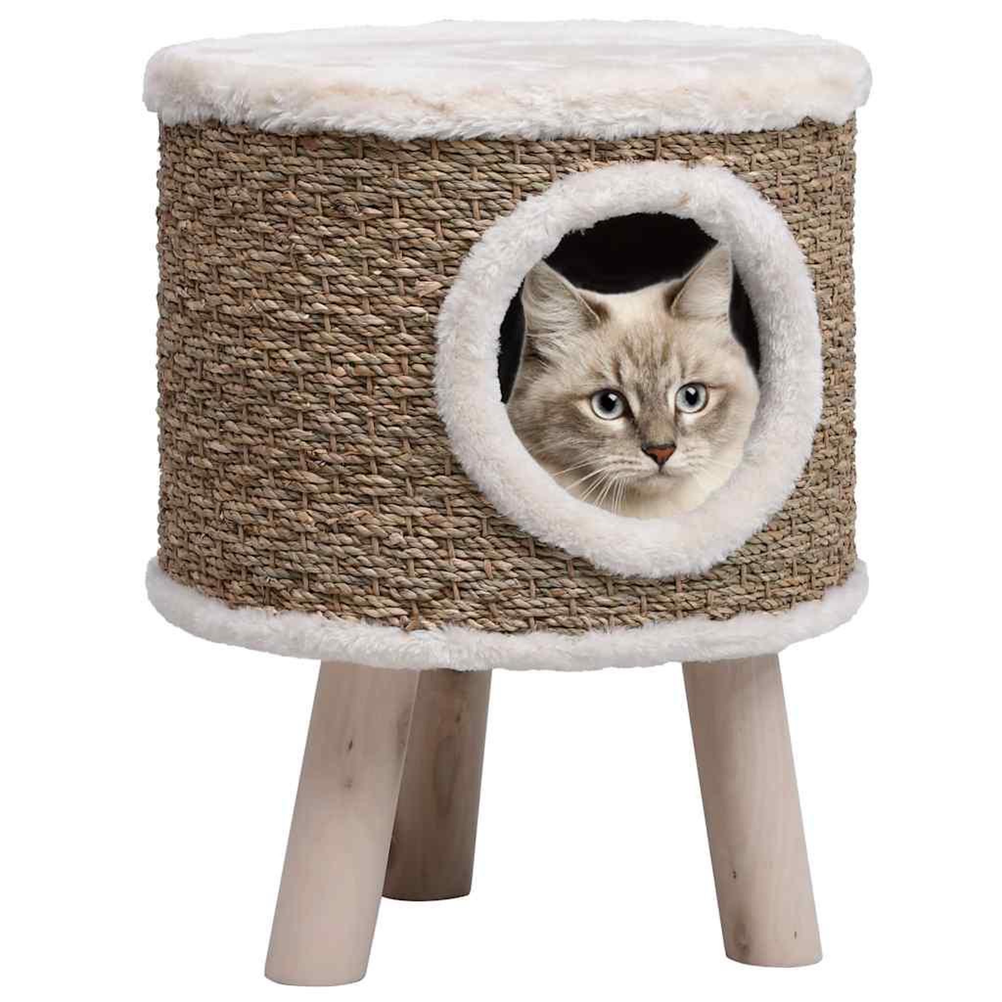 VIDAXL Maison pour chat avec pieds en bois 41 cm herbiers marins