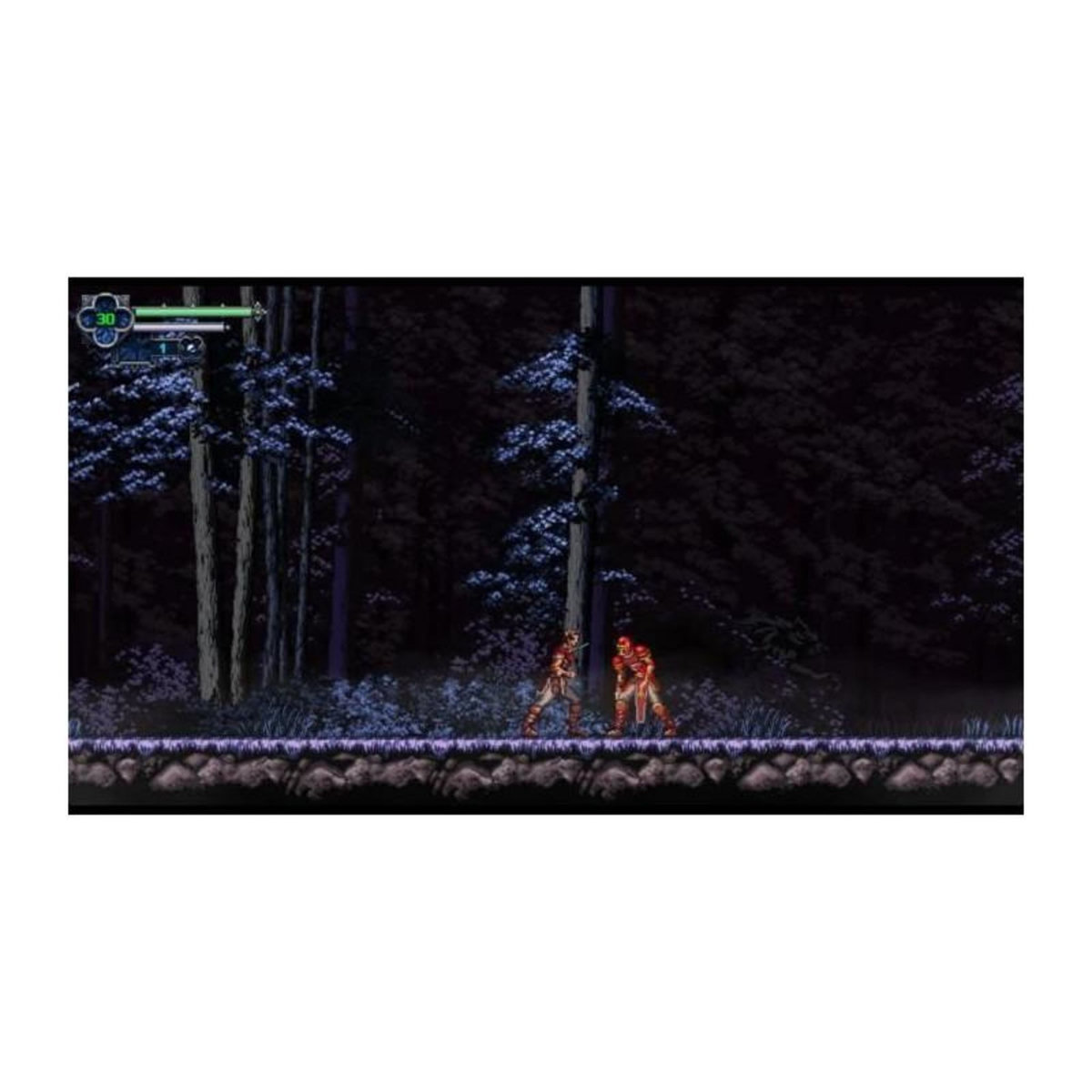 Just for games Chronicles of the Wolf - Jeu Nintendo Switch