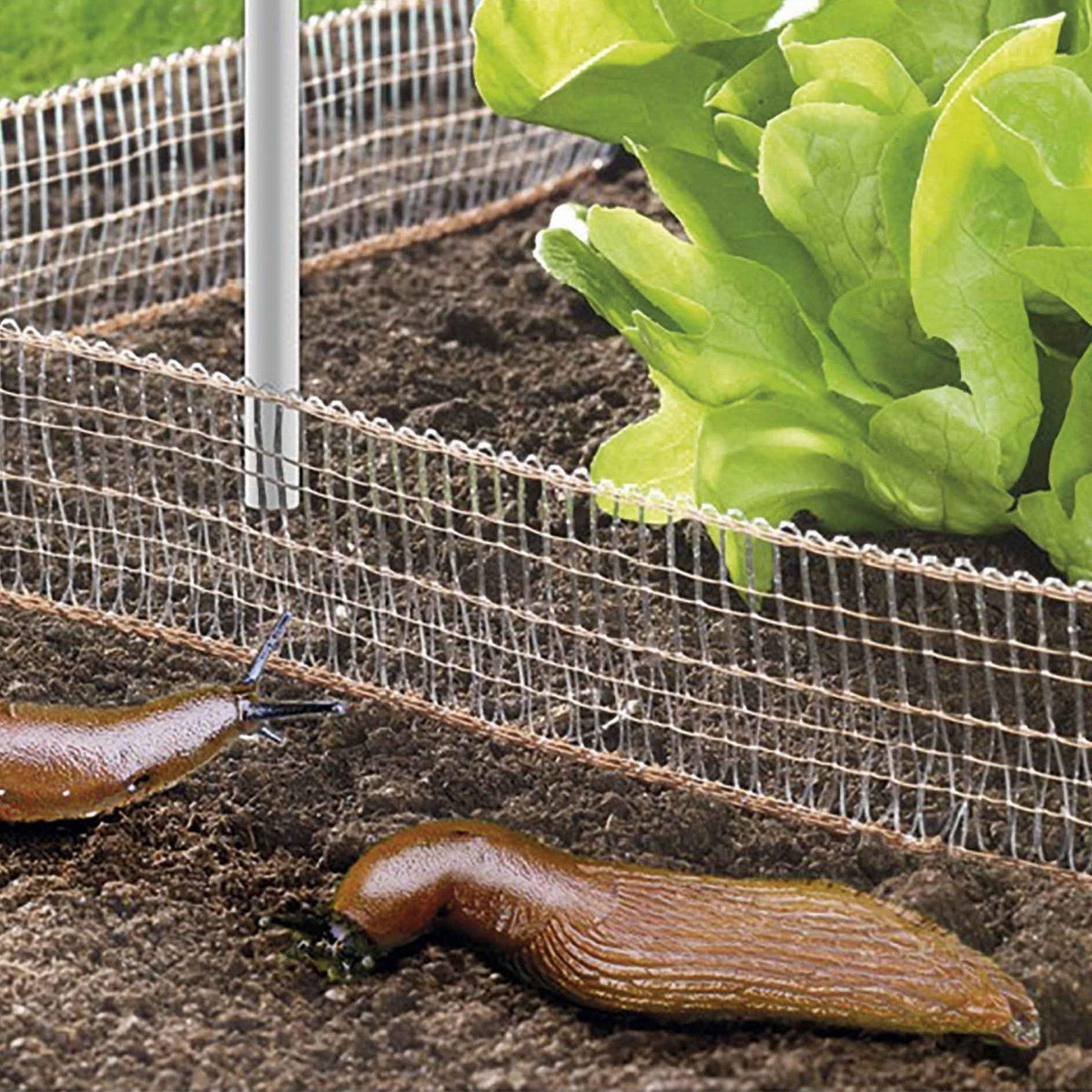 Wenko Filet stop limaces et escargots 8 m