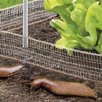 Wenko Filet stop limaces et escargots 8 m