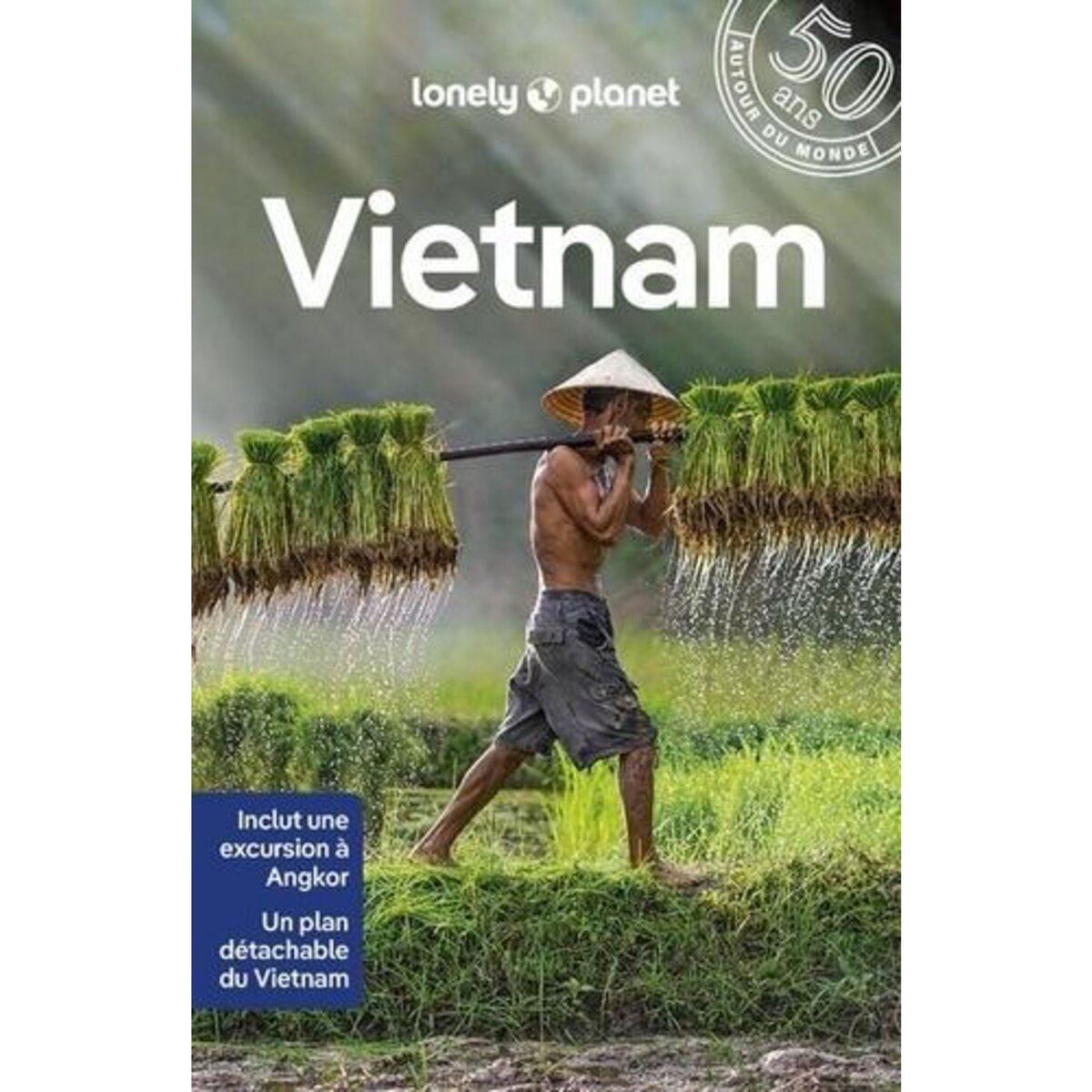 VIETNAM. 15E EDITION. AVEC 1 PLAN DETACHABLE, Atkinson Brett