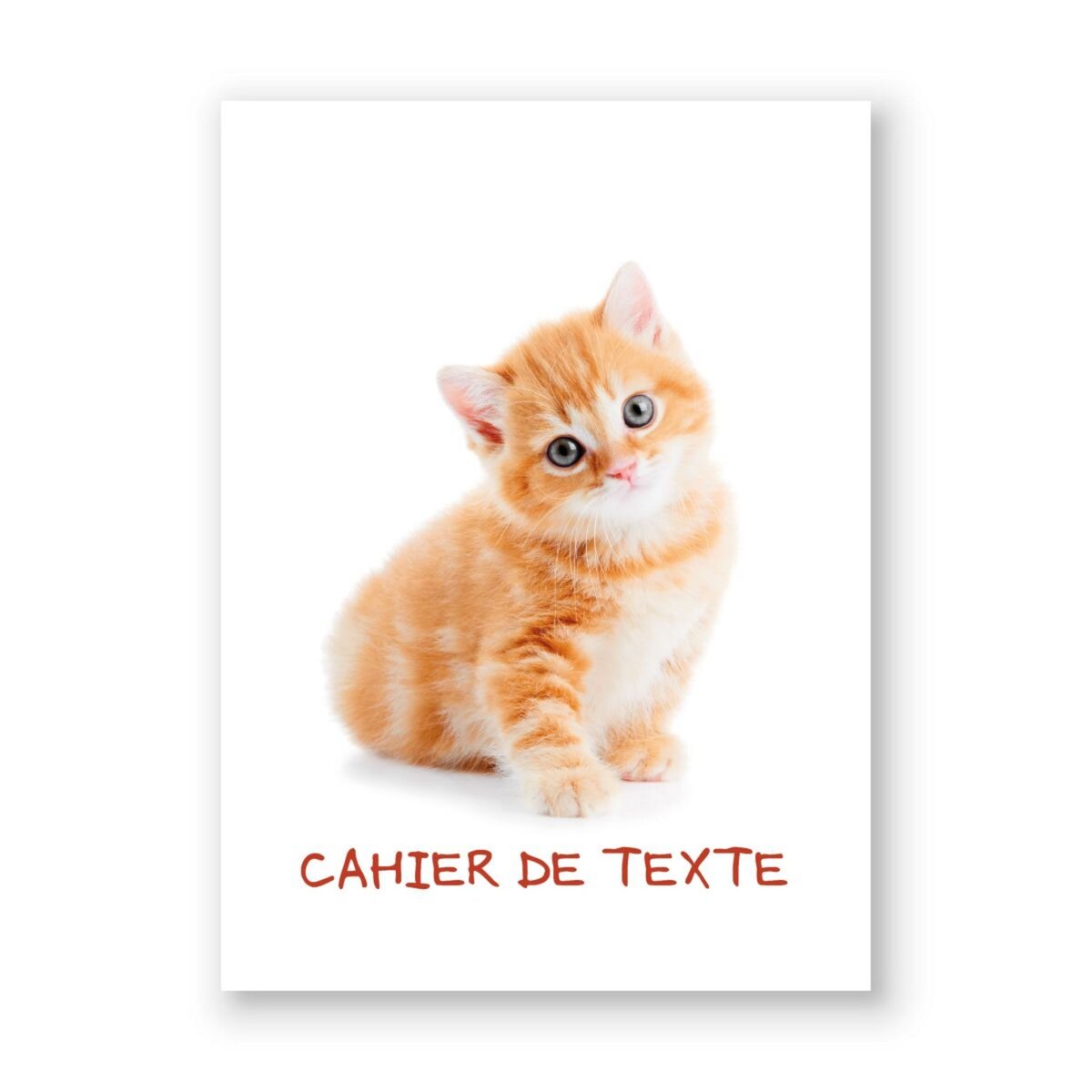 AUCHAN Cahier de texte carton 14,8x21cm chaton tigré blanc et rose