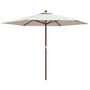 Voir la diapositive 2 : VIDAXL Parasol de jardin avec mat en bois sable 299x240 cm
