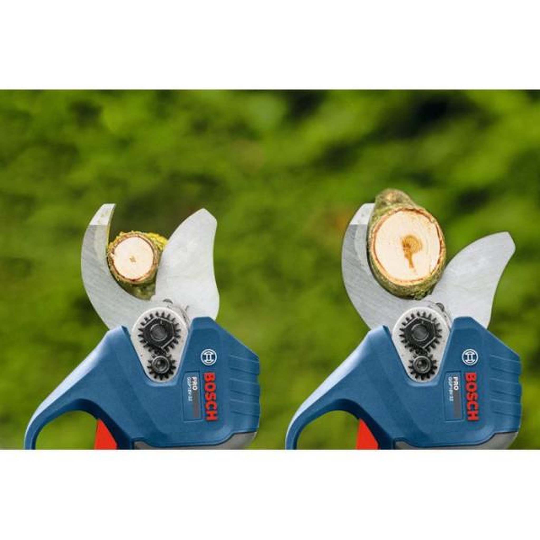 Voir la diapositive 3 : BOSCH Sécateur GGP 18V-32 solo