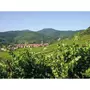 Smartbox Visite de cave et dégustation de vins d'Alsace dans un domaine près de Colmar - Coffret Cadeau Gastronomie