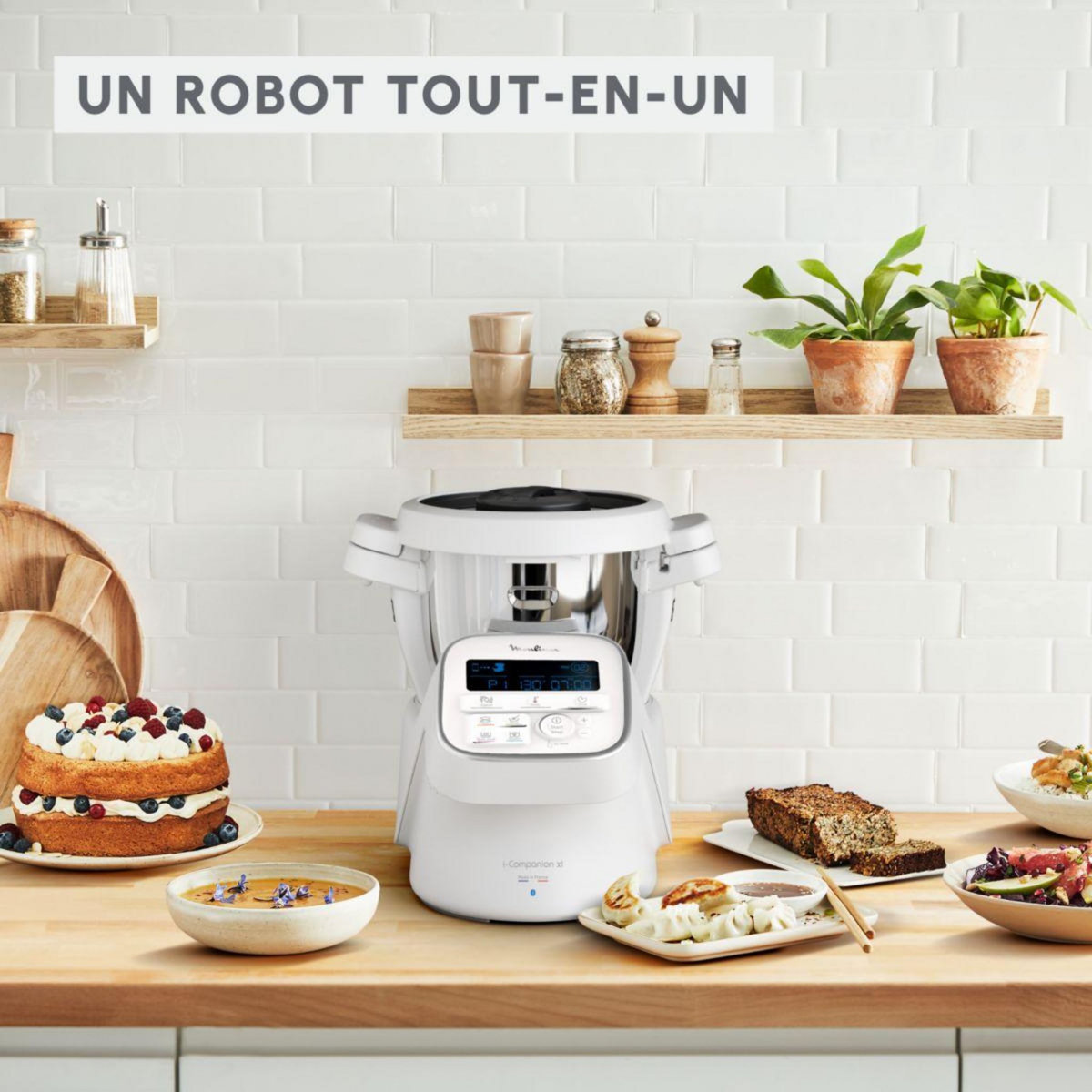 MOULINEX Robot cuiseur I companion HF901120
