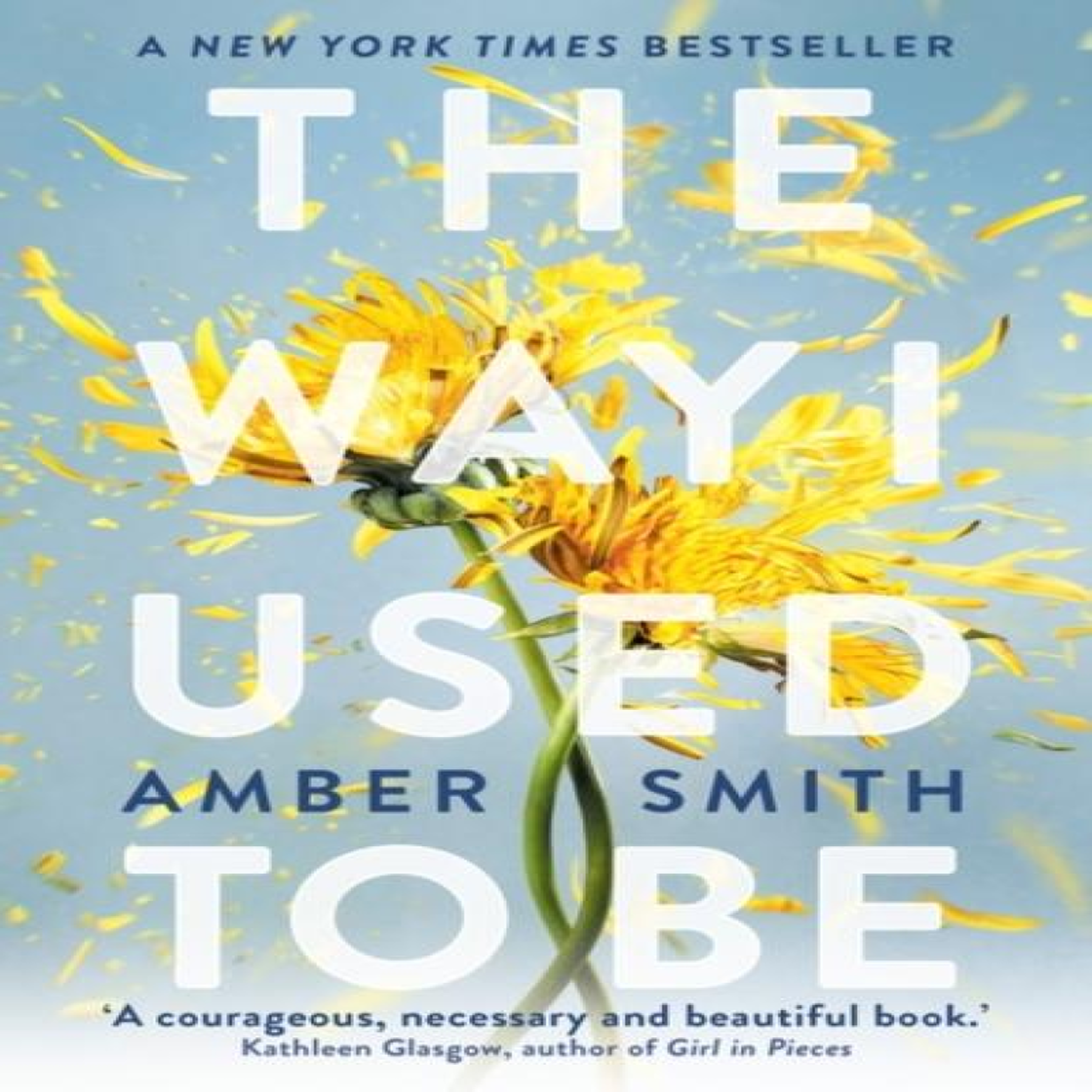 LIVRES The Way I Used to Be : The TikTok sensation