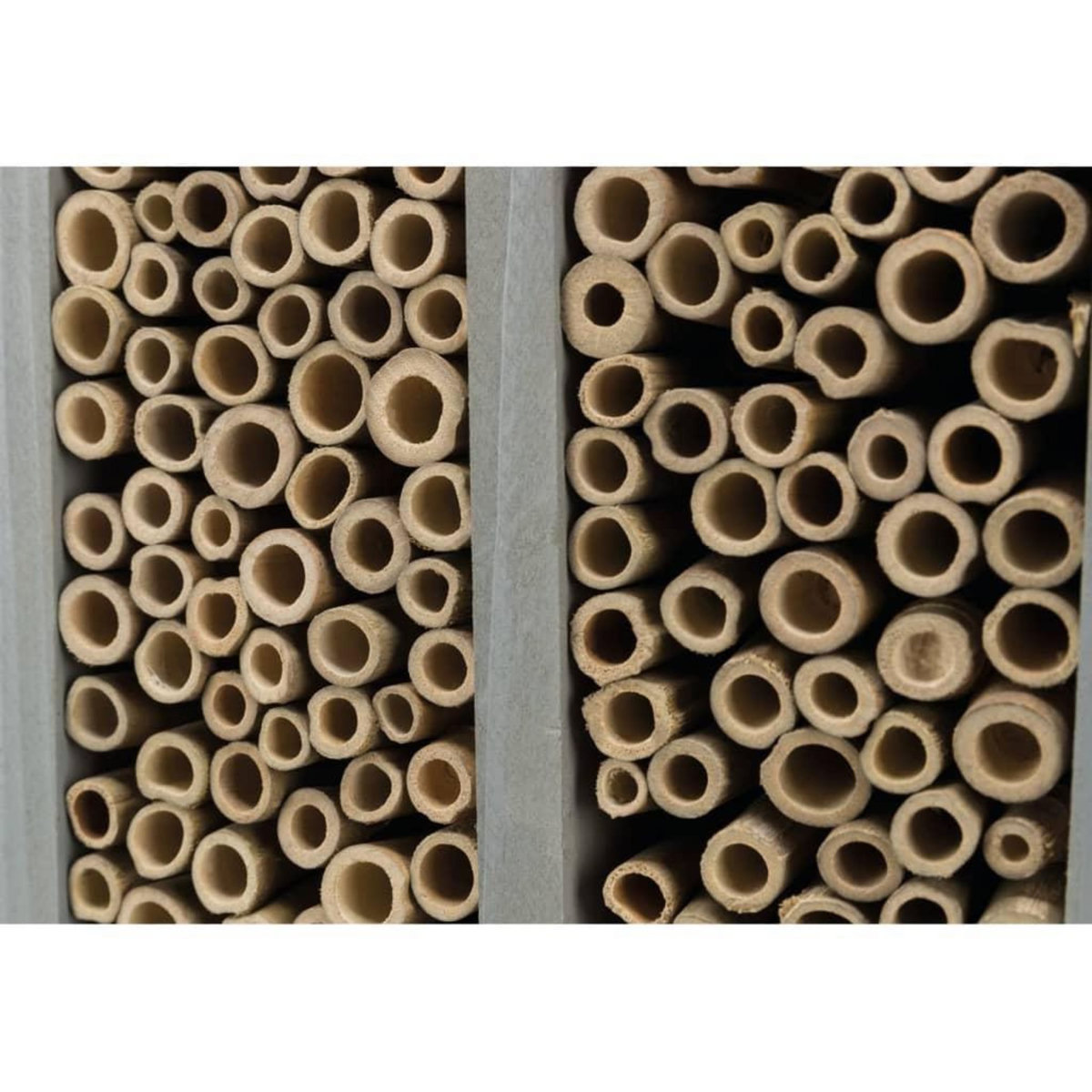 Trixie TRIXIE Hotel a abeilles 30x35x12 cm Bois de pin