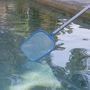 Voir la diapositive 5 : WERKAPRO Épuisette surface WERKA PRO pour piscine