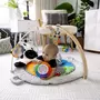 BABY EINSTEIN BABY EINSTEIN Zen's Activity Milestones tapis d'éveil avec barre en bois, jouets multisensoriels, des la naissance