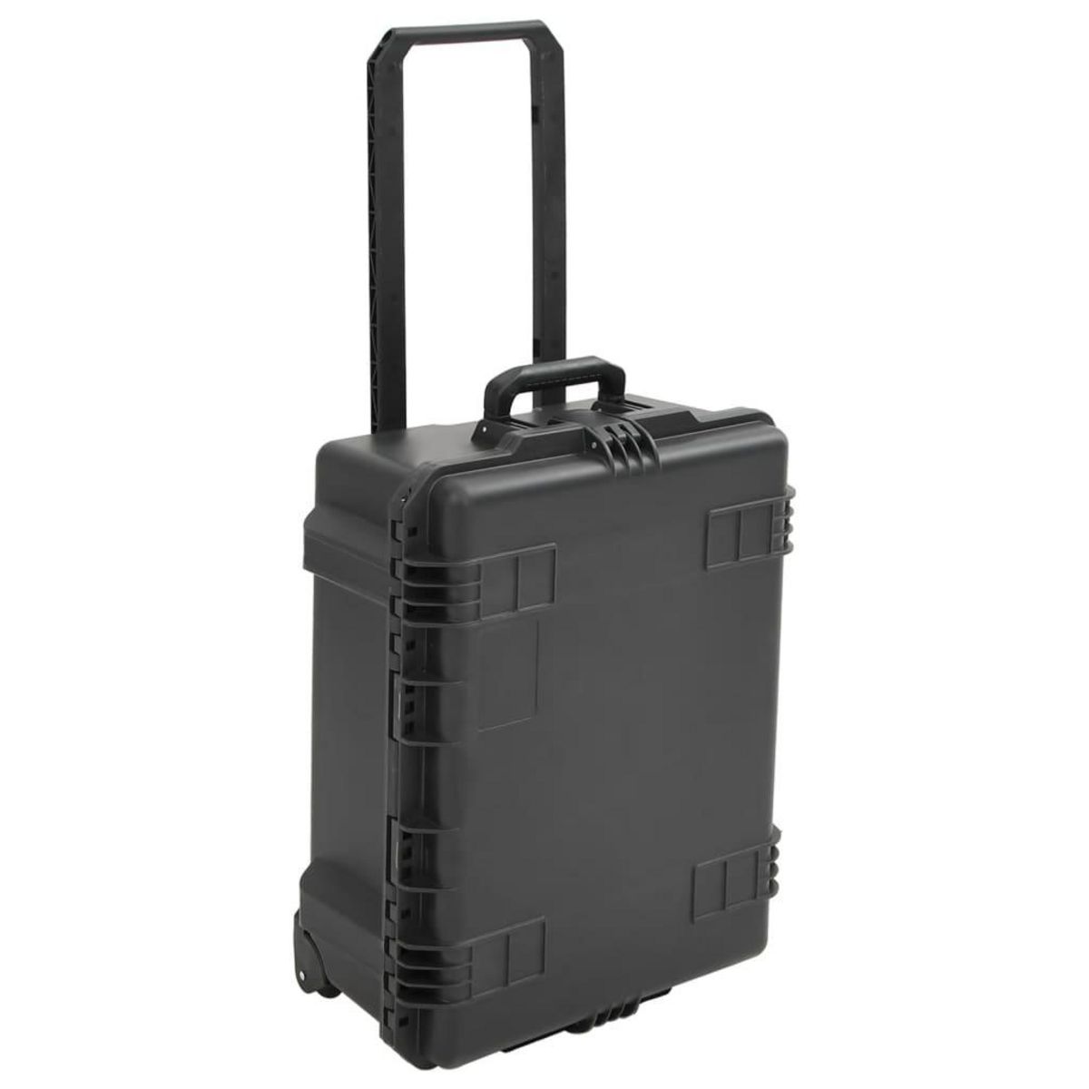 VIDAXL Valise de vol portable Noir 62,5x50x28,5 cm PP