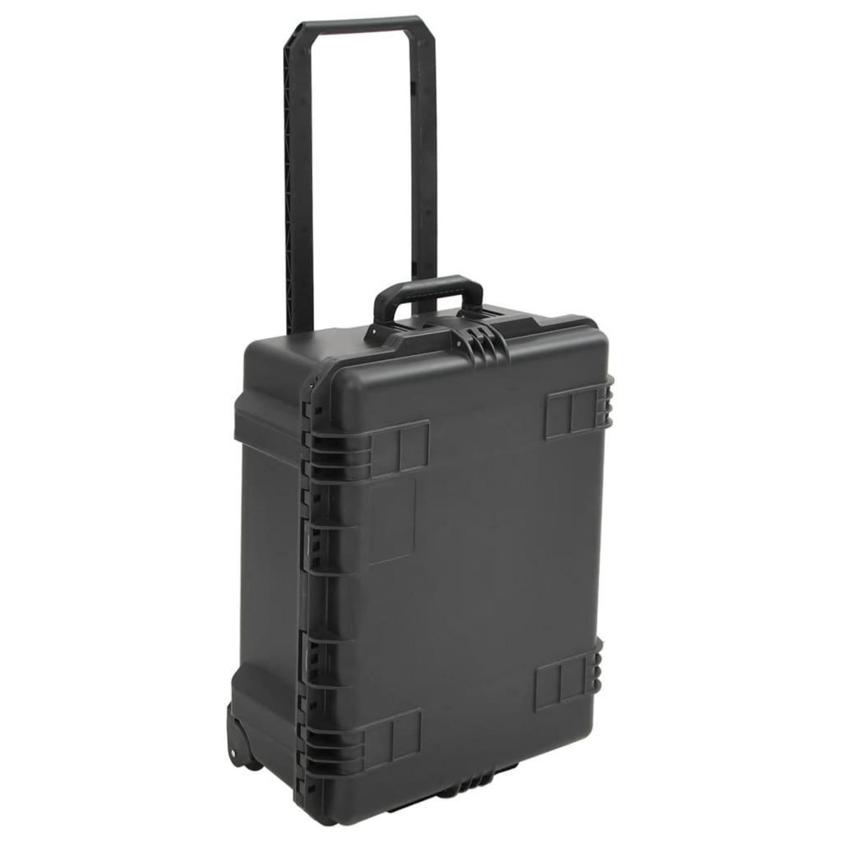 VIDAXL Valise de vol portable Noir 62,5x50x28,5 cm PP