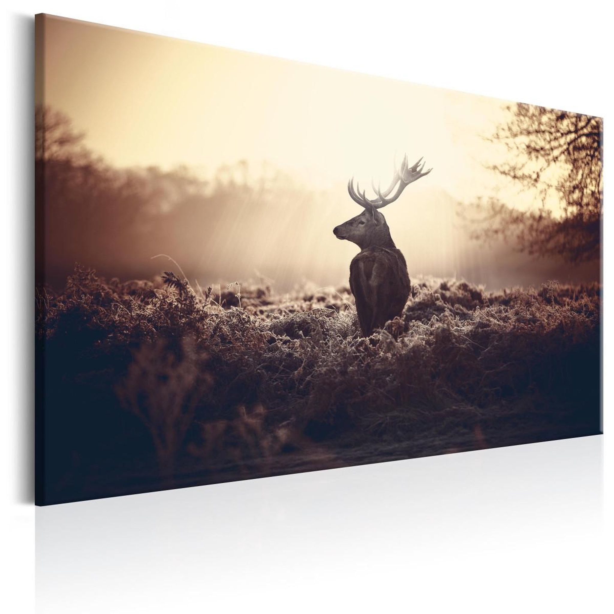 Voir la diapositive 1 : Paris Prix Tableau imprimé  lurking deer