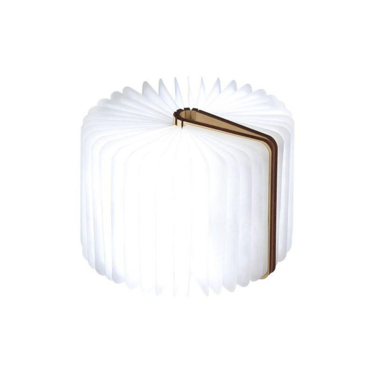 Gingko Lumière livre intelligente Gingko Mini Erable