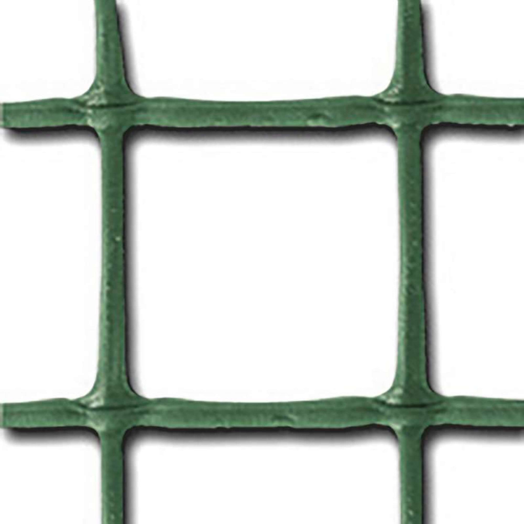 Voir la diapositive 1 : Tenax Grillage pour plante grimpante  Taille 0.5 x 5 m