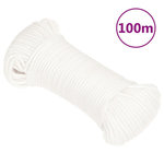 VIDAXL Corde de bateau Blanc complet 3 mm 100 m Polypropylene