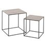 Voir la diapositive 1 : Paris Prix Lot de 2 Tables Gigognes  Haus  55cm Argent & Noir
