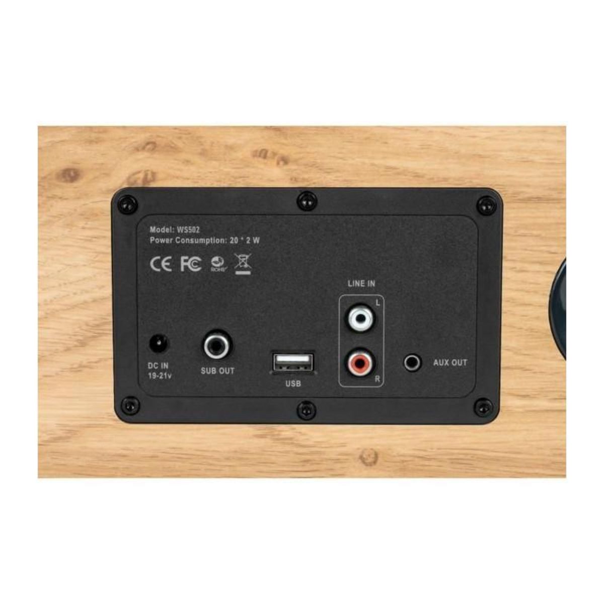 THOMSON Enceinte résidentielle en bois - THOMSON - WS502 - Bluetooth 5.0, 100W, RCA, USB, AUX-IN