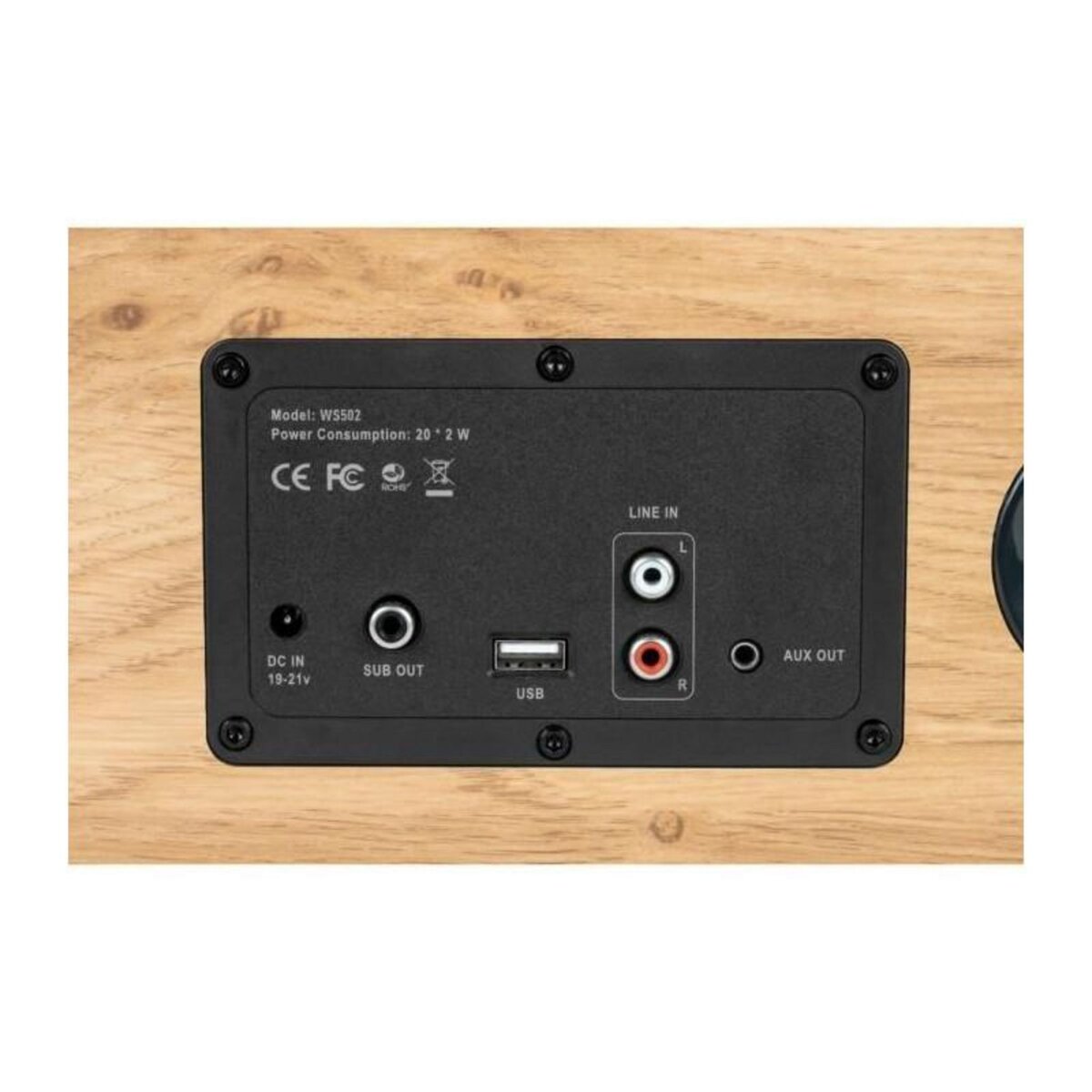 THOMSON Enceinte résidentielle en bois - THOMSON - WS502 - Bluetooth 5.0, 100W, RCA, USB, AUX-IN