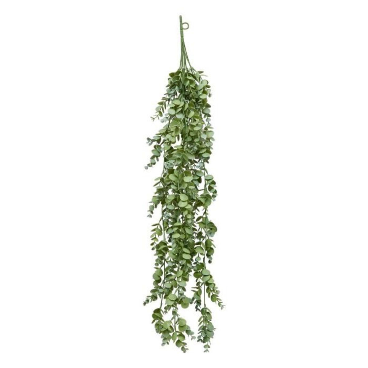 ATMOSPHERA Eucalyptus Artificiel Tombant  James  80cm Vert