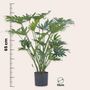 Voir la diapositive 2 : PLANT IN A BOX Philodendron artificiel 'Selloum' - Hauteur 65cm