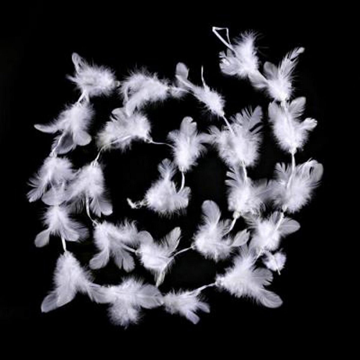 FEERIC LIGHT & CHRISTMAS Guirlande de Noël Plumes et Perles - 2 m