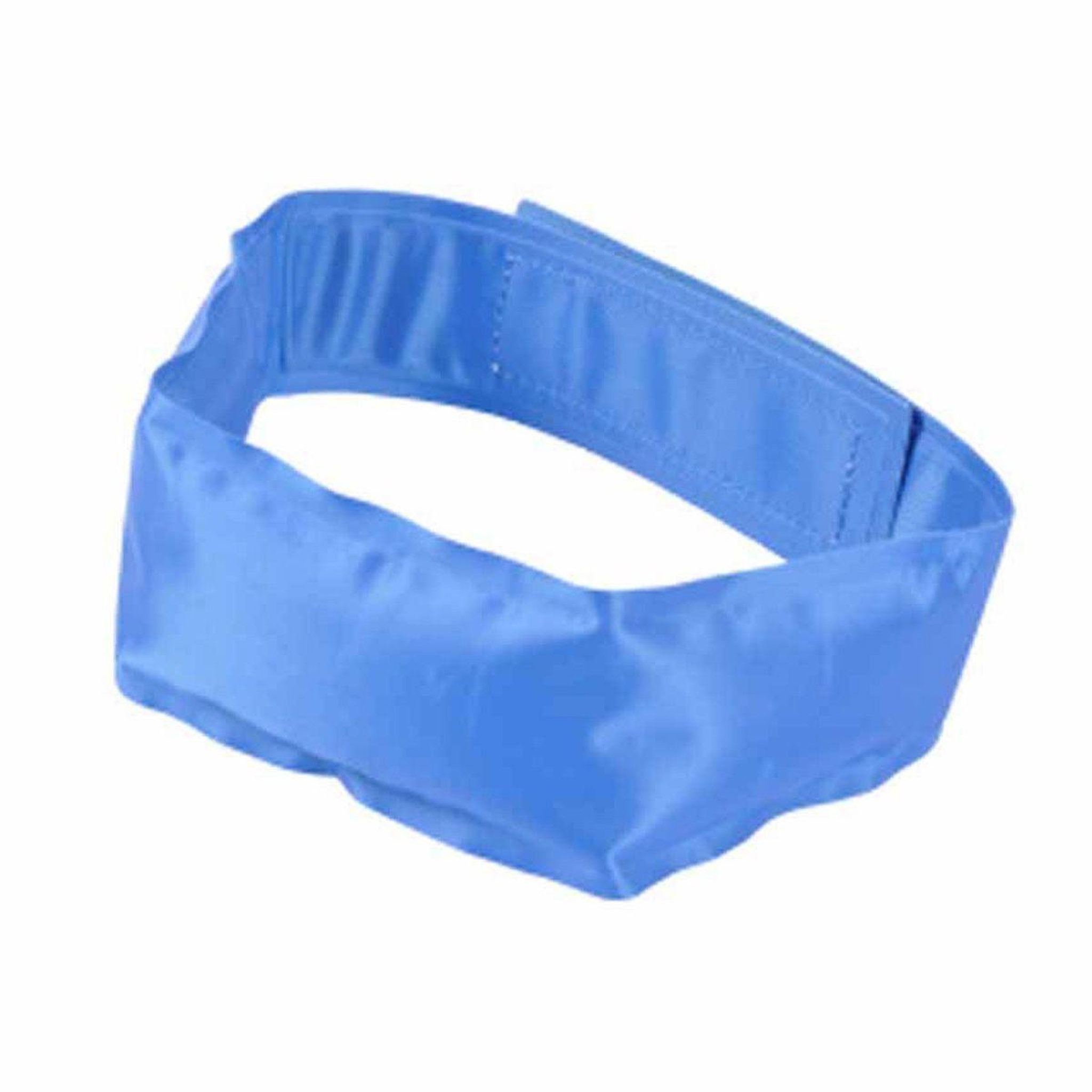 HOMEA Collier pour chien  rafraîchissant  63cm bleu