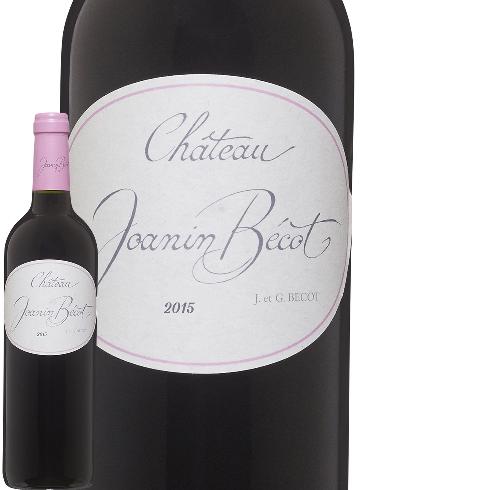 AOP Castillon Côtes-de-Bordeaux Château Joanin Bécot 2015 rouge 75cl
