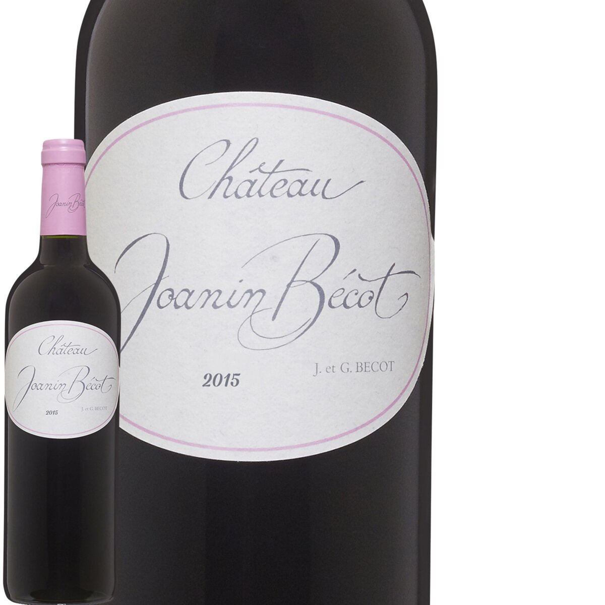 AOP Castillon Côtes-de-Bordeaux Château Joanin Bécot 2015 rouge 75cl