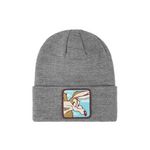 CAPSLAB Bonnet homme Looney Tunes Coyote. Coloris disponibles : Gris