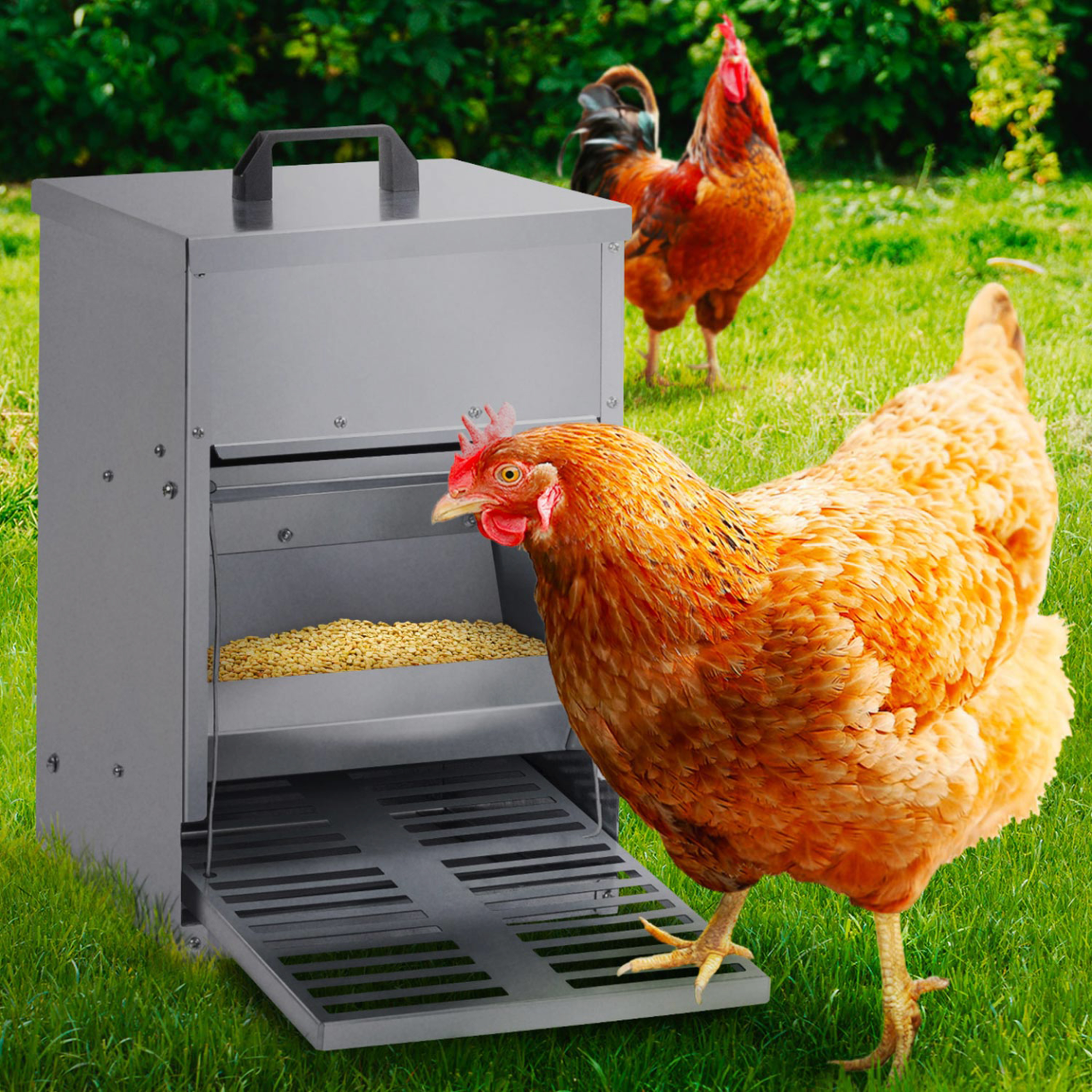 Voir la diapositive 2 : ID MARKET Mangeoire à pédale pour poules distributeur automatique 5 kg anti-nuisibles