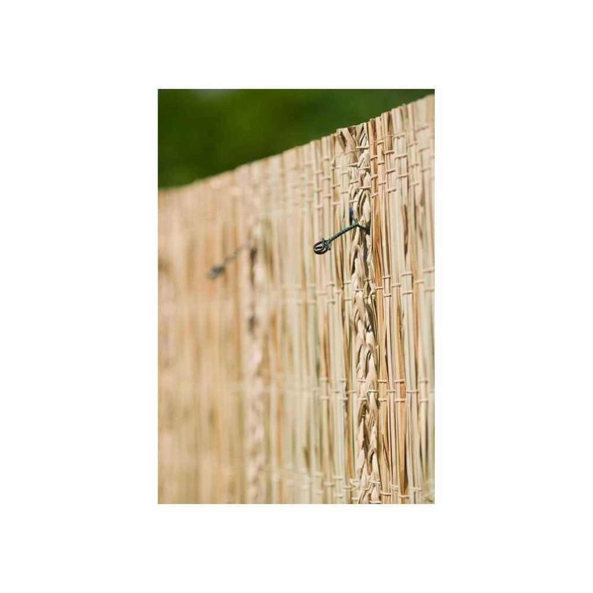 Voir la diapositive 3 : NATURE Nature 200 liens verts en acier galvanisé gainé pour fixation extérieure