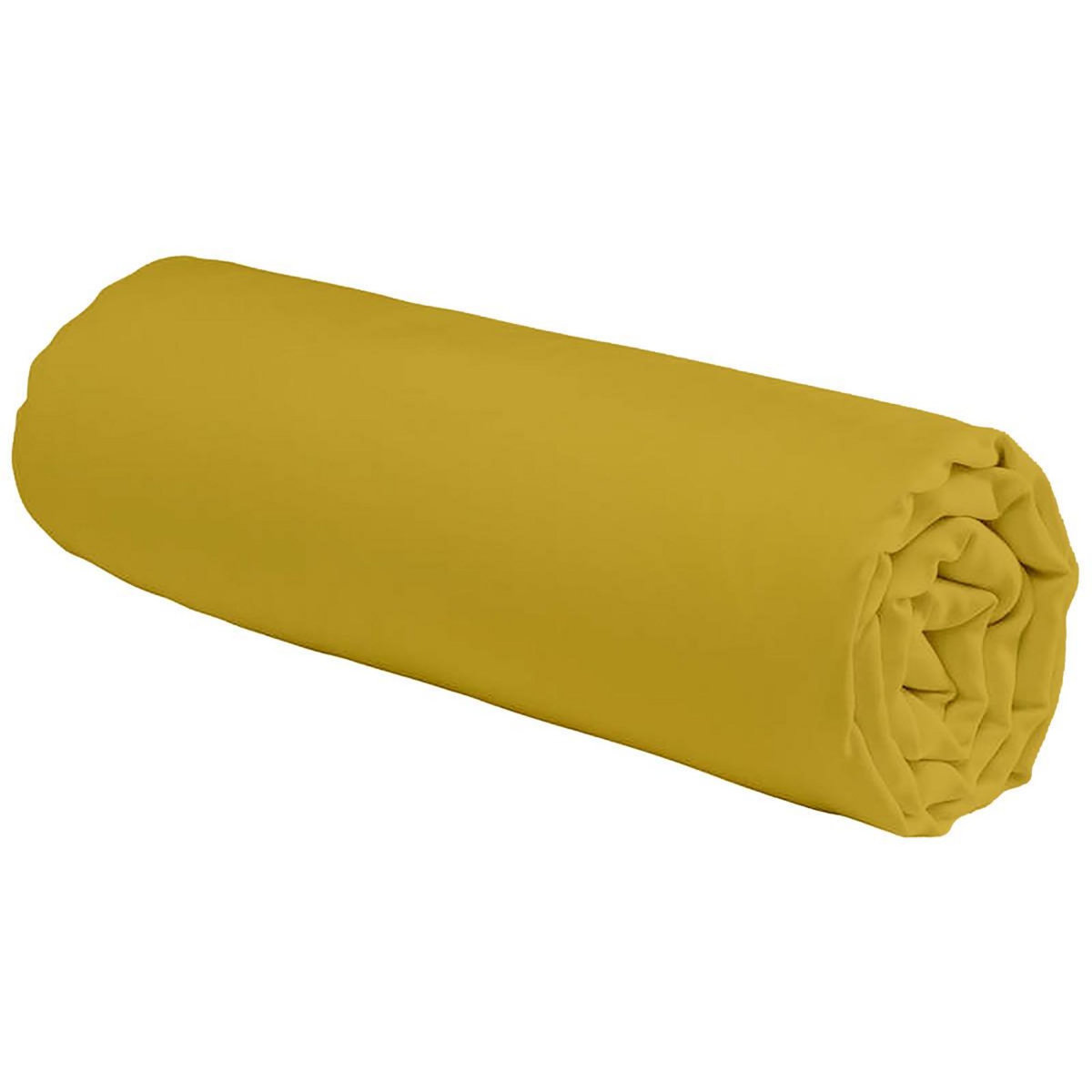 FUTURE HOME Drap housse en coton 57 fils uni bonnet 25cm