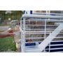 Voir la diapositive 4 : Ferplast Cage pour lapins avec accessoires 78* 48*65 cm - FERPLAST