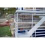 Voir la diapositive 4 : Ferplast Cage pour lapins avec accessoires 78* 48*65 cm - FERPLAST